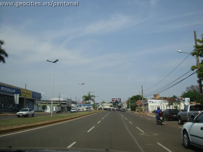 499_geocities_ws_pantanal.jpg