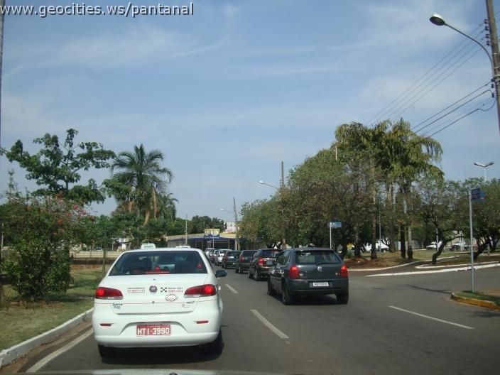 508_geocities_ws_pantanal.jpg