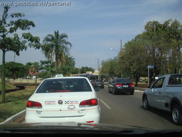 509_geocities_ws_pantanal.jpg