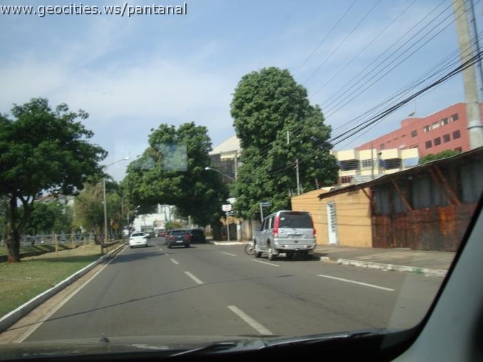 512_geocities_ws_pantanal.jpg