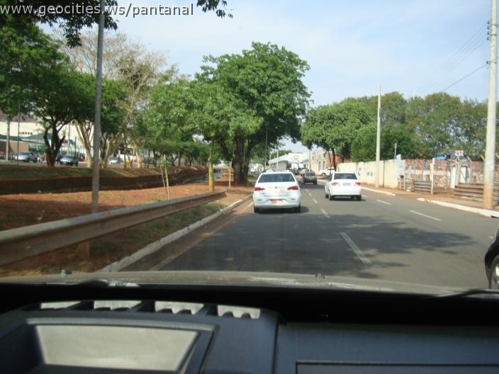 525_geocities_ws_pantanal.jpg