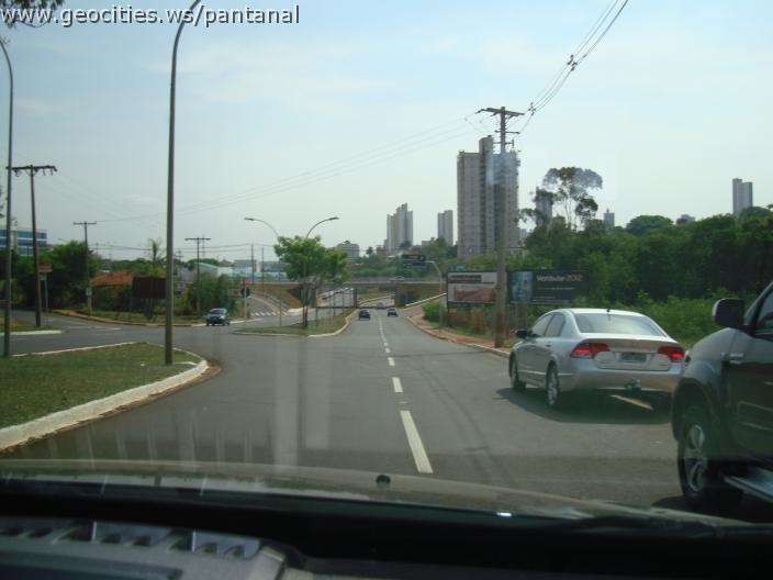 547_geocities_ws_pantanal.jpg
