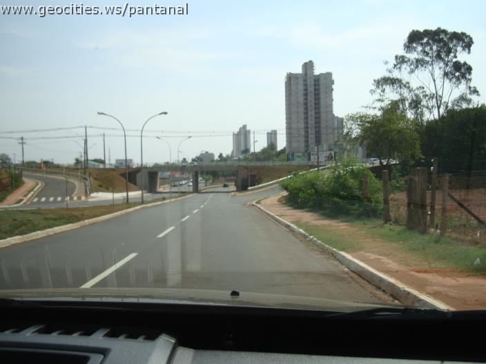 549_geocities_ws_pantanal.jpg