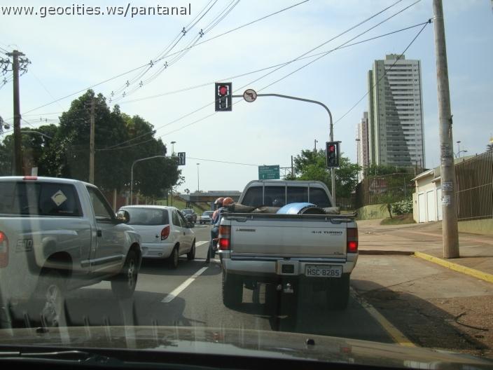 555_geocities_ws_pantanal.jpg