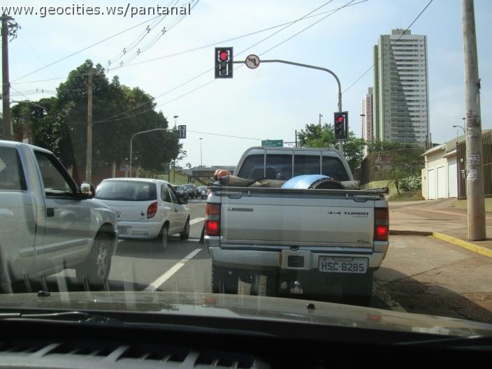 556_geocities_ws_pantanal.jpg