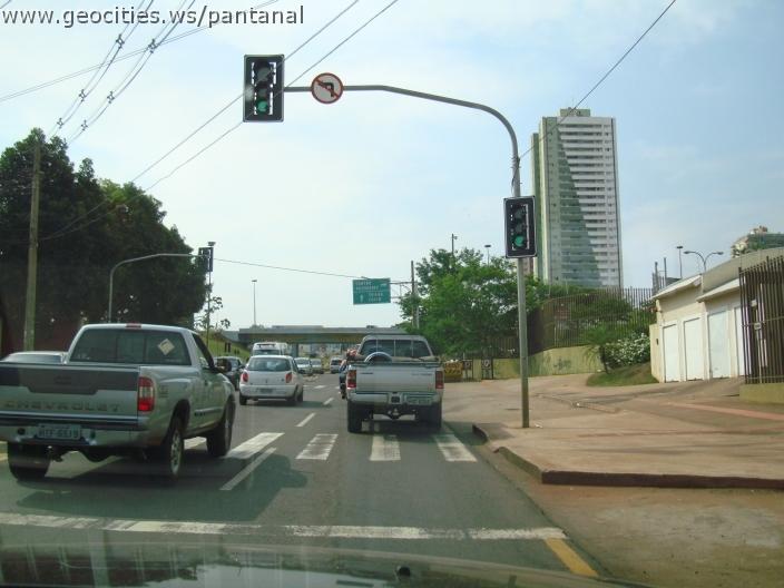 557_geocities_ws_pantanal.jpg