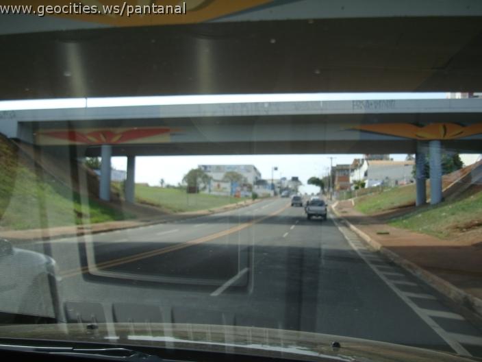 560_geocities_ws_pantanal.jpg