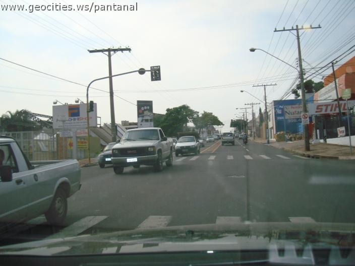 562_geocities_ws_pantanal.jpg
