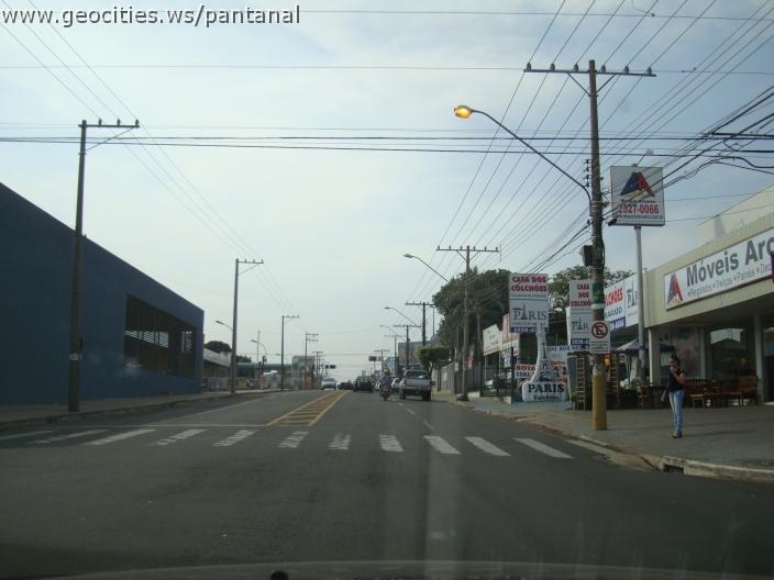 564_geocities_ws_pantanal.jpg