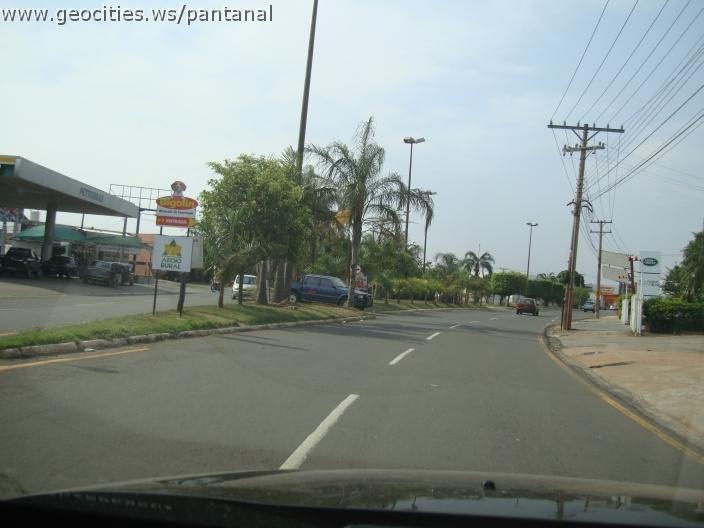 575_geocities_ws_pantanal.jpg