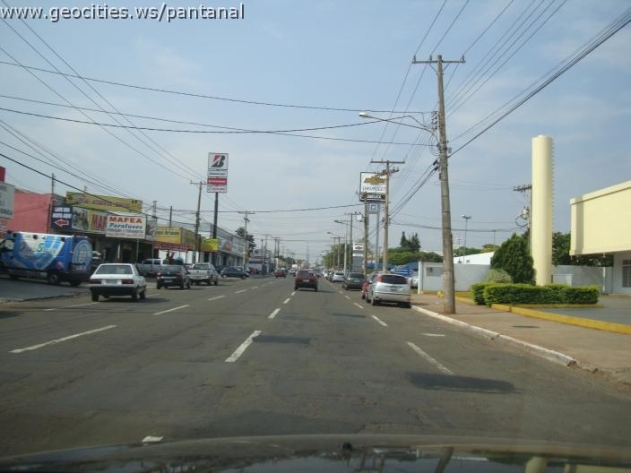580_geocities_ws_pantanal.jpg