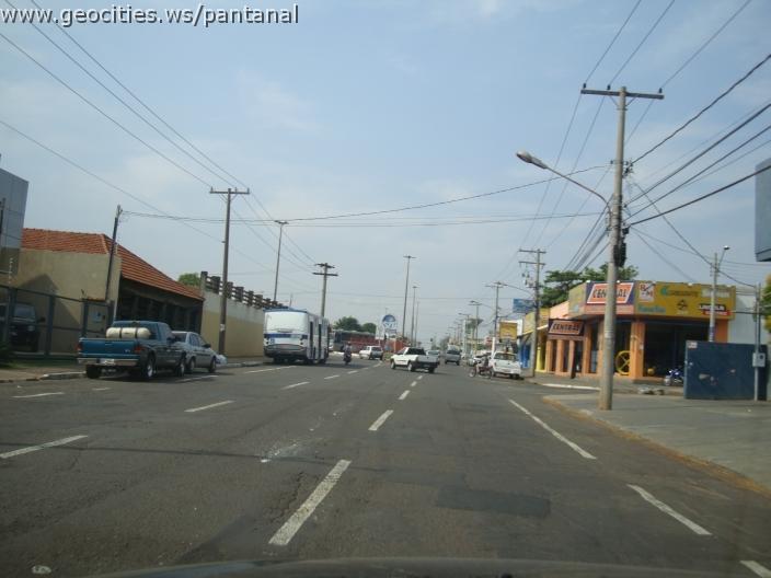 582_geocities_ws_pantanal.jpg