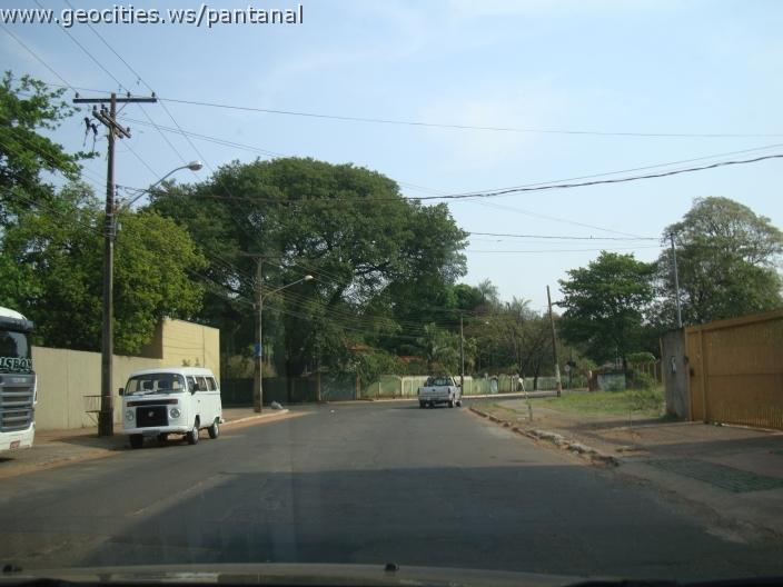 591_geocities_ws_pantanal.jpg