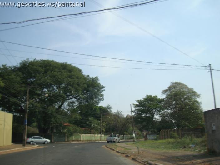 592_geocities_ws_pantanal.jpg