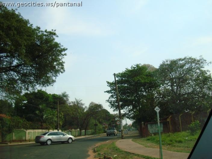 593_geocities_ws_pantanal.jpg