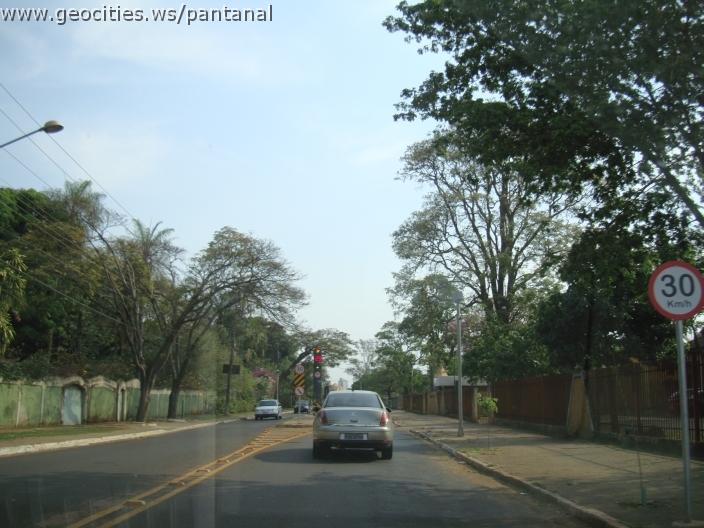 594_geocities_ws_pantanal.jpg