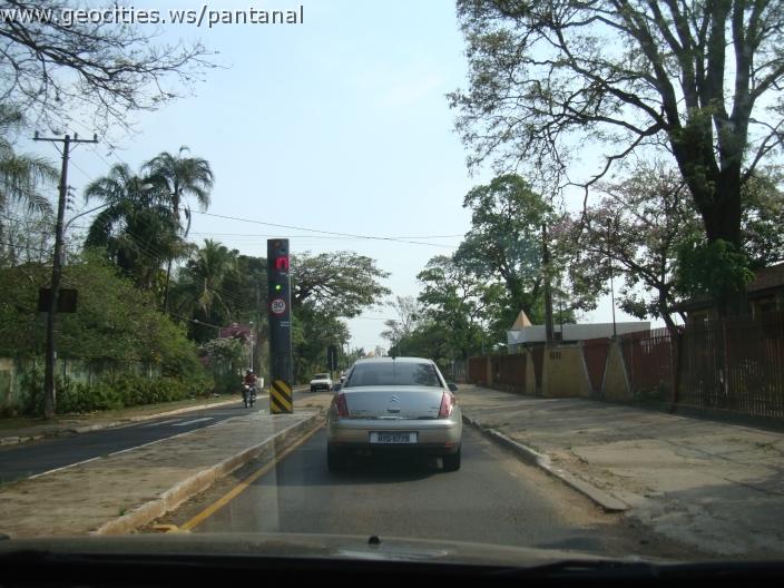 596_geocities_ws_pantanal.jpg