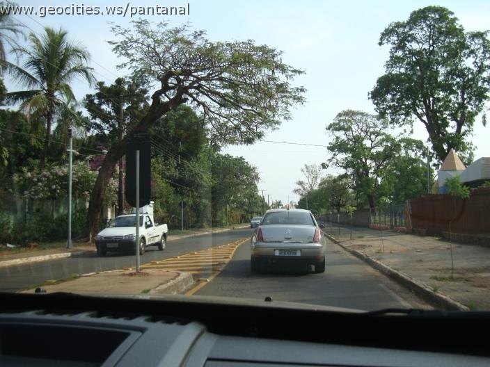 598_geocities_ws_pantanal.jpg