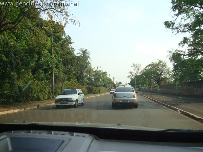 599_geocities_ws_pantanal.jpg