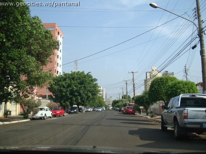 613_geocities_ws_pantanal.jpg