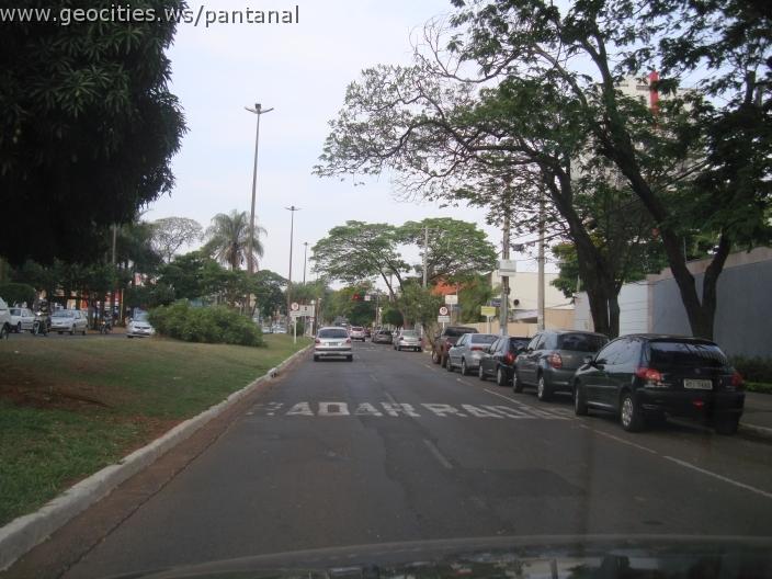 617_geocities_ws_pantanal.jpg