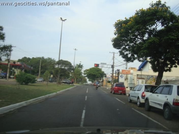 620_geocities_ws_pantanal.jpg