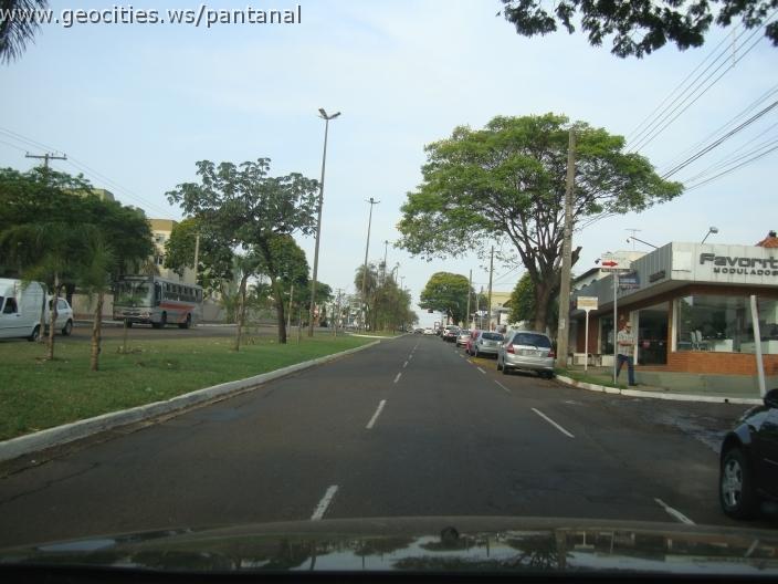 622_geocities_ws_pantanal.jpg