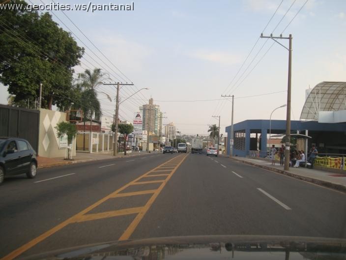 629_geocities_ws_pantanal.jpg