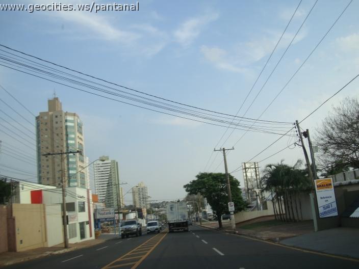 633_geocities_ws_pantanal.jpg