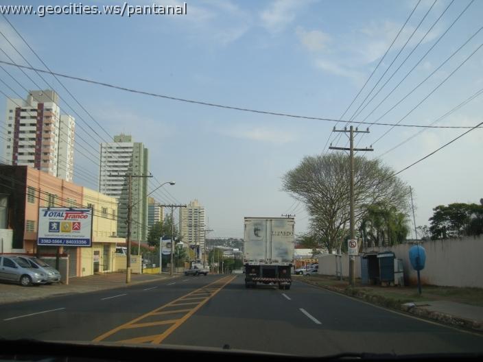 635_geocities_ws_pantanal.jpg