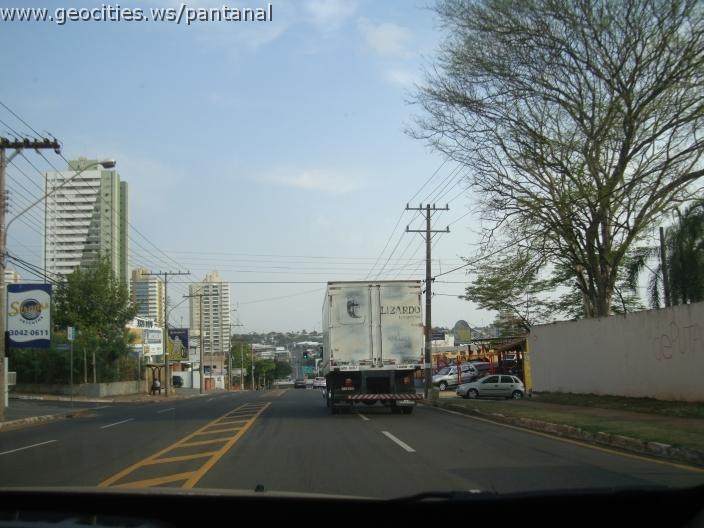 636_geocities_ws_pantanal.jpg