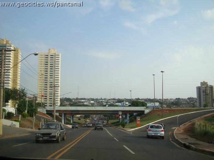 641_geocities_ws_pantanal.jpg