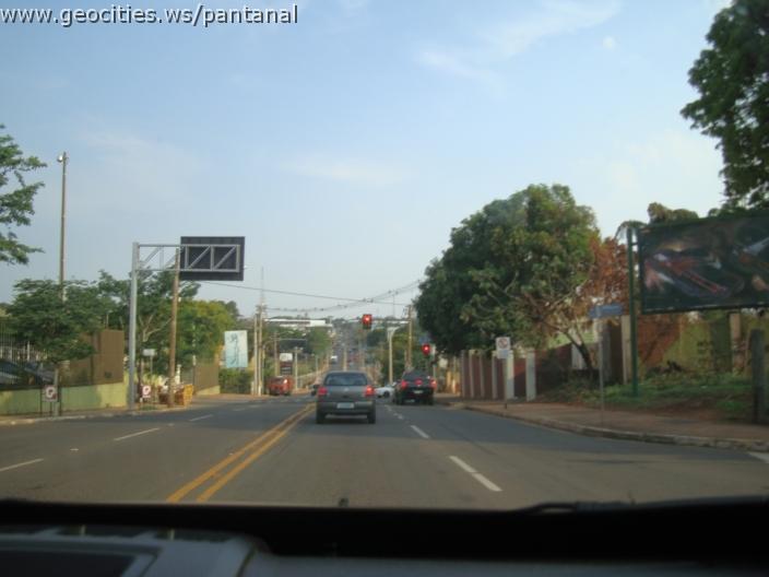 644_geocities_ws_pantanal.jpg