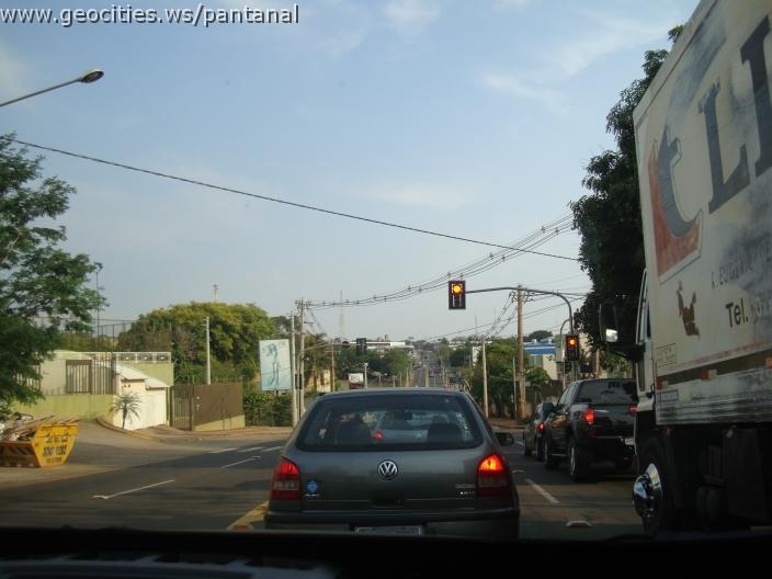 647_geocities_ws_pantanal.jpg