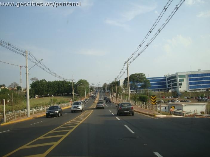 649_geocities_ws_pantanal.jpg