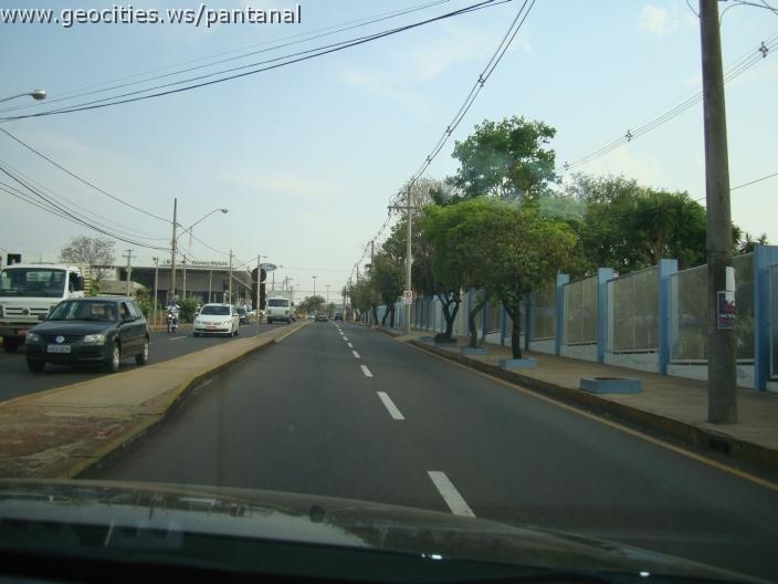 654_geocities_ws_pantanal.jpg