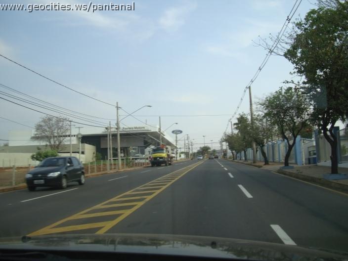 655_geocities_ws_pantanal.jpg