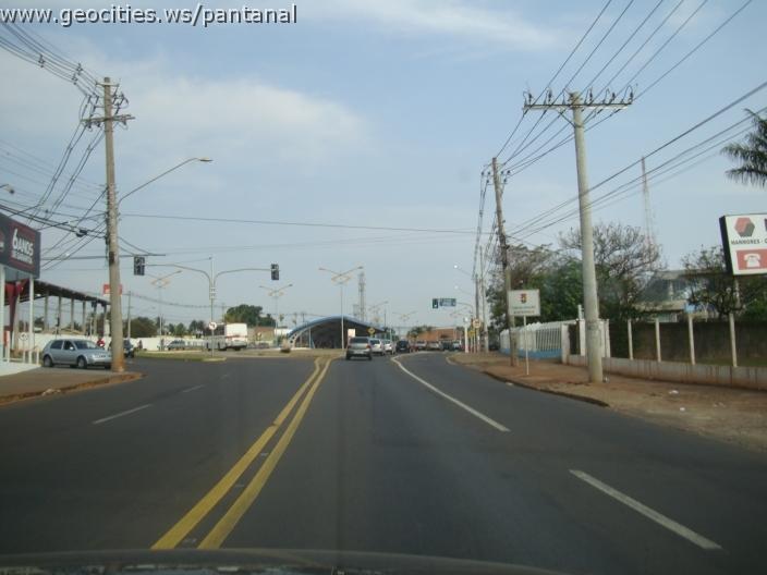 659_geocities_ws_pantanal.jpg