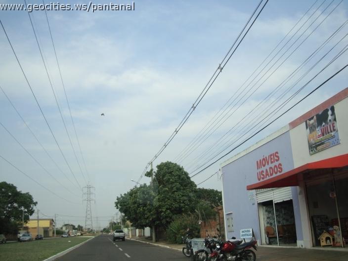 675_geocities_ws_pantanal.jpg