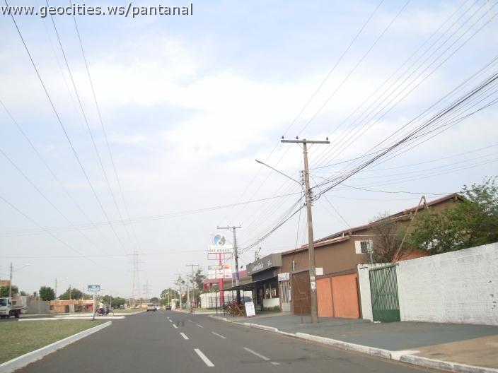 677_geocities_ws_pantanal.jpg