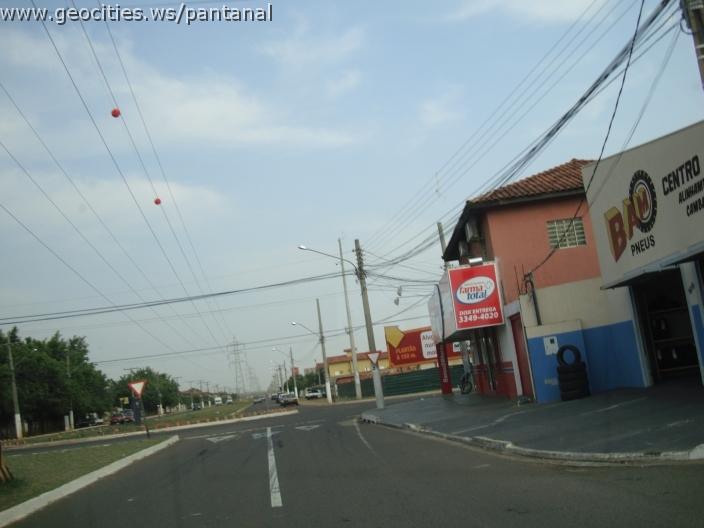 681_geocities_ws_pantanal.jpg