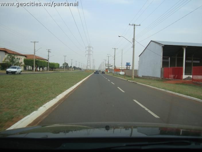 683_geocities_ws_pantanal.jpg