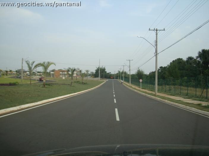 694_geocities_ws_pantanal.jpg