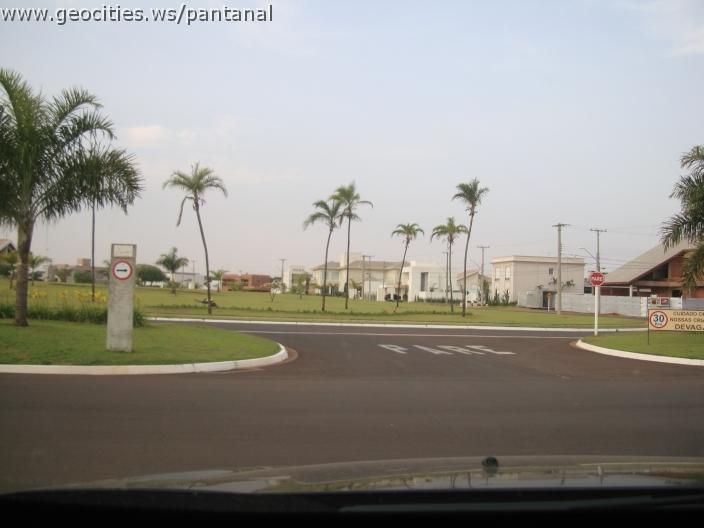 700_geocities_ws_pantanal.jpg