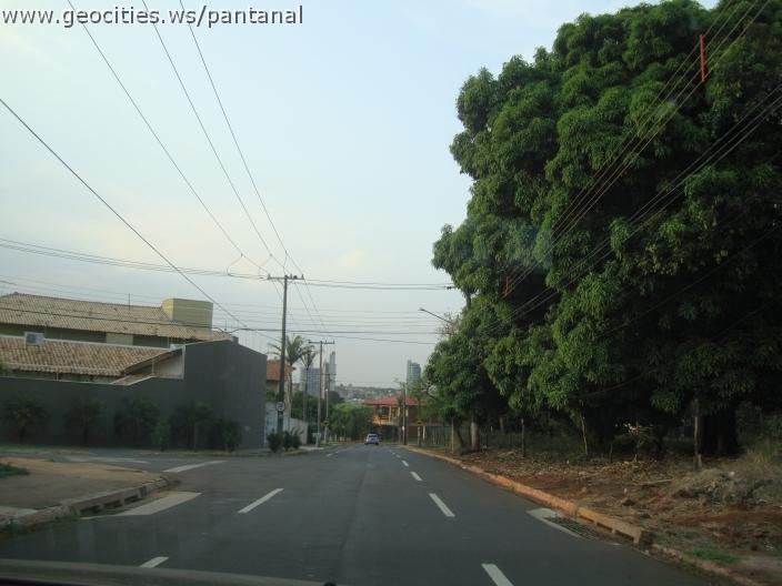 717_geocities_ws_pantanal.jpg