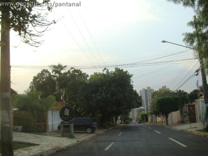 719_geocities_ws_pantanal.jpg