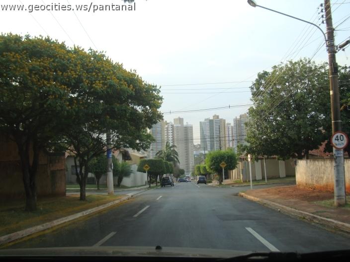 720_geocities_ws_pantanal.jpg