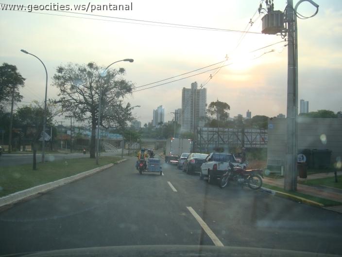 731_geocities_ws_pantanal.jpg