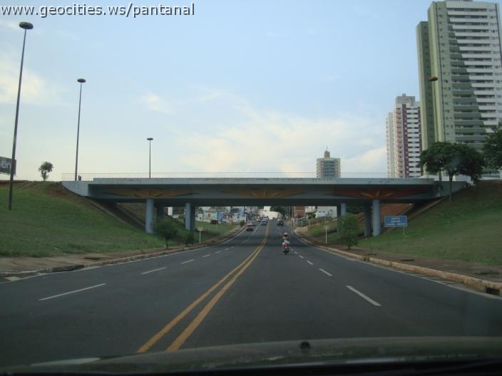 736_geocities_ws_pantanal.jpg