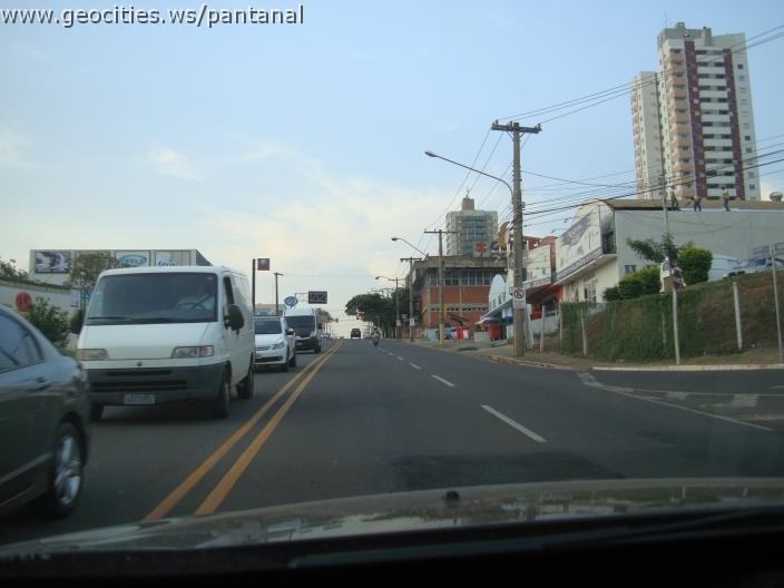 737_geocities_ws_pantanal.jpg